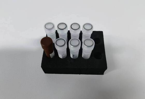 Dengue PCR testi 48 test ile yüksek kaliteli tespit