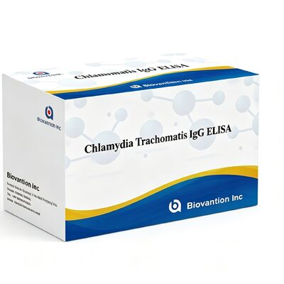 Chlamydia Trachomatis (Ct) IgG ELISA Test Kits Serum/Plazma'ya karşı antikorlar
